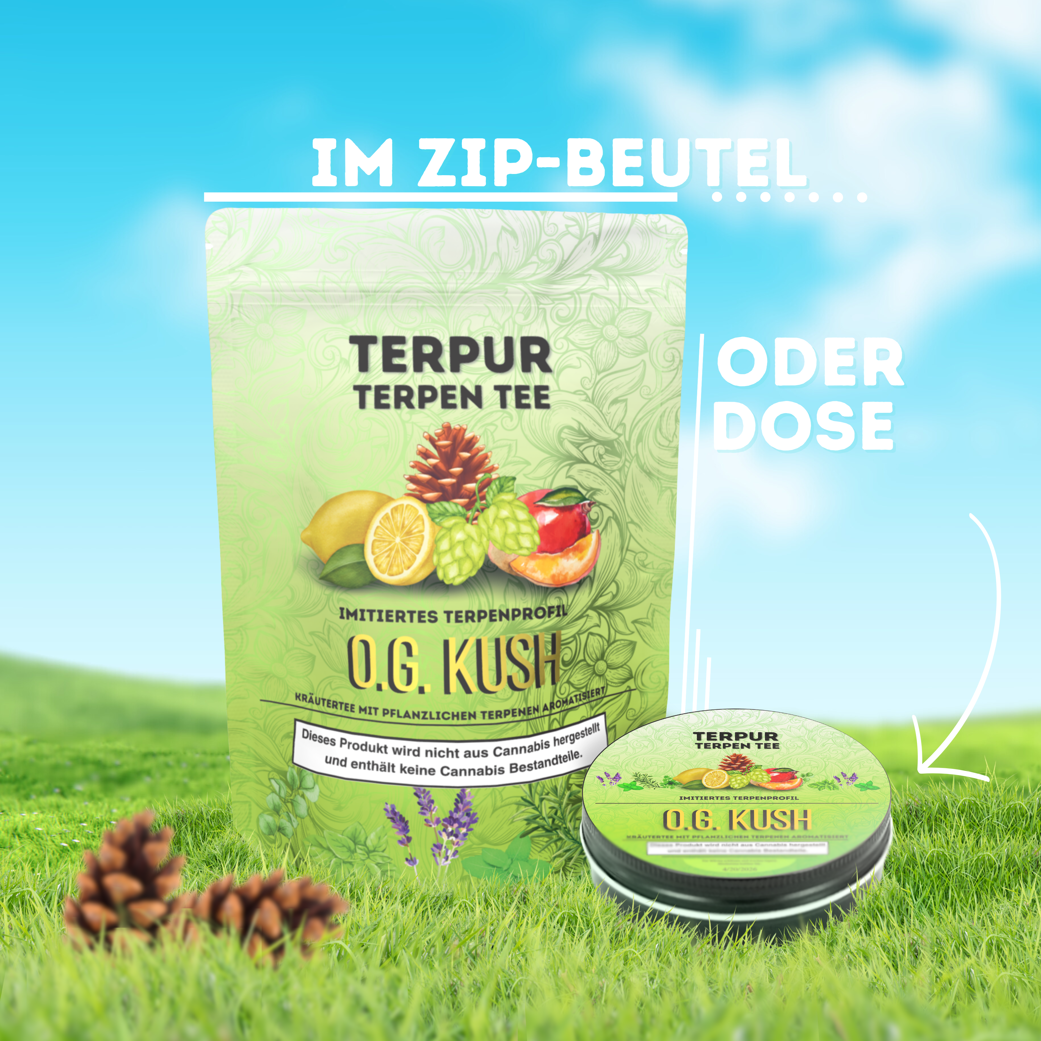 Kräutermix mit pflanzlichen Terpenen | Terpen Tee O.G. Kush | 16g Dose Metall mit Schraubverschluss | 100% natürliche Kräutermischung
