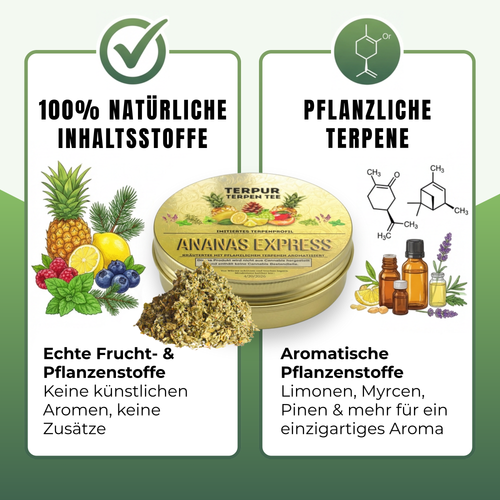 Gold Edition Herbal Mix mit Terpenen | Kräutermix mit pflanzlichen Terpenen von TERPUR | Terpen Tee Ananas Express | 16g Dose Metall mit Schraubverschluss | 100% natürliche Kräutermischung